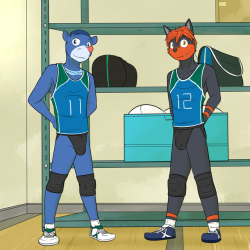 Volleyball Pokedude Pinup: Litten and Popplio