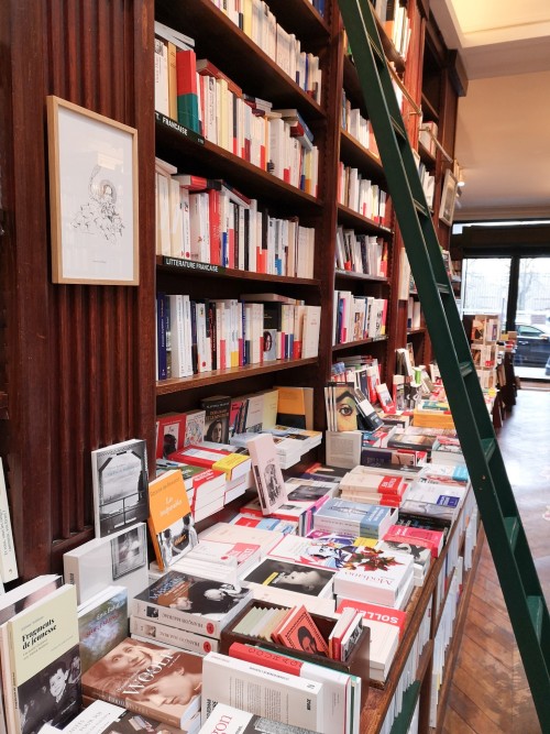 sparksflys:Went to one of my favorite bookstores today : Librairie