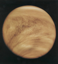 humanoidhistory: TODAY IN HISTORY: Planet Venus, observed by