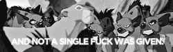 gif-giz:  — Funny Gif Blog — 