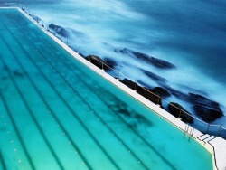 Tidal Pools of Sydney Steve Back