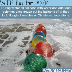 wtf-fun-factss:  Frozen Water Balloons - WTF fun facts  note: