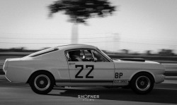 ford-mustang-generation:  Ford Mustang GT350 by Shofner Films