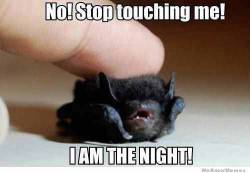 soulless-blunder:  I AM THE NIGHT!Thank you @howcanibesowet I