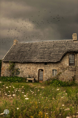 theopaldreamcave:The Witch’s Cottage (in France) by Sophie