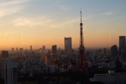 may0525:  TOKYO TOWER ❤️