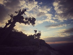 at Grand Canyon National Park