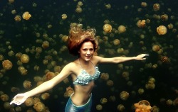 peanutbutta:   Meet the real life mermaid who swims with jellyfish