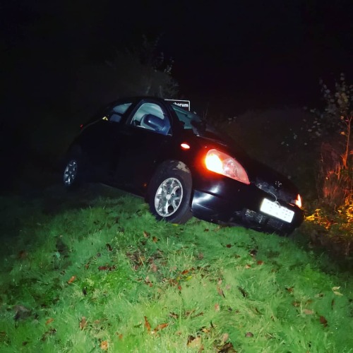 We made friends with a hedge tonight. Seemed nice enough, bit