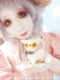 minori0000:  I made cat 「Bio」 minori 