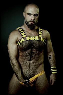 educatedmanhood:  Deliciously hairy and yummy!! 