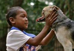 Esta es Kabang, la perra que perdió su hocico por salvar a dos