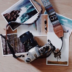 lost in wonderland