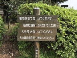 yamayoezokkuma:   犬の糞に飼い主を始末させる環境省