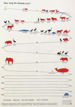 ¿Cuánto tiempo viven los animales?
