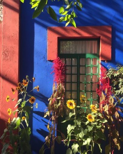 balanced-karma:  ‘Casa Azul’ a replica of Frida Kahlo’s