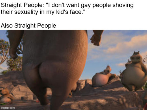 gay-irl:  gay🦛irl