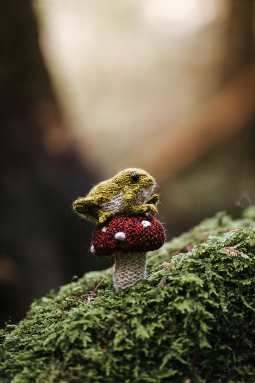 softlikevelvet:  rhiannatruexx:  knitted forest friends   @lifecyclesofmayflies