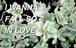 nearly-weekes:  walls // all time low