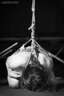cubicletocollar:  Seems our exploration with rope has been pretty