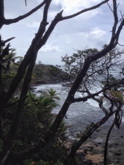 theeyeoftroy:  Galera Point, Toco, Trinidad. Copyright 2016 Troy