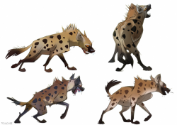 toulouseart:Hyena doodles I did a bit ago.