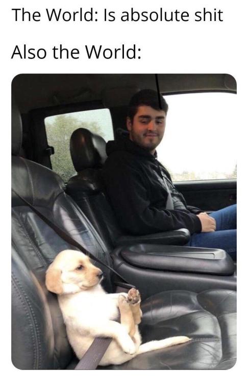 omghotmemes:  a little bit of wholesome for you