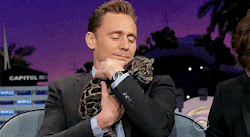 cheers-mrhiddleston:  Tom Hiddleston makes a new friend on the
