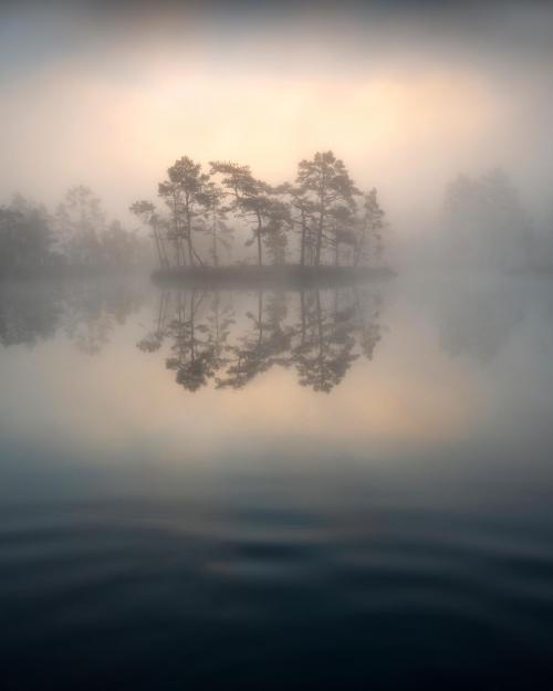 nicetrails:  Foggy morning at Knuthöjdsmossen, Sweden [OC] [1536x1920]