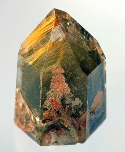 pursuit-of-shadows:Chlorite phantom point inside a golden rutile