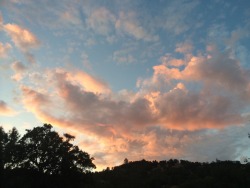 lazeyguava:  The clouds reflected on my pool and it looked really