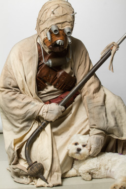 laughingsquid:  Star Wars Cosplayers Pose With Adoptable Animals