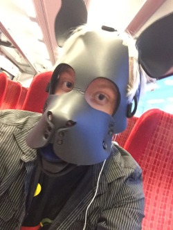 scoutpupp:  In England puppy’s are allowed on trains…