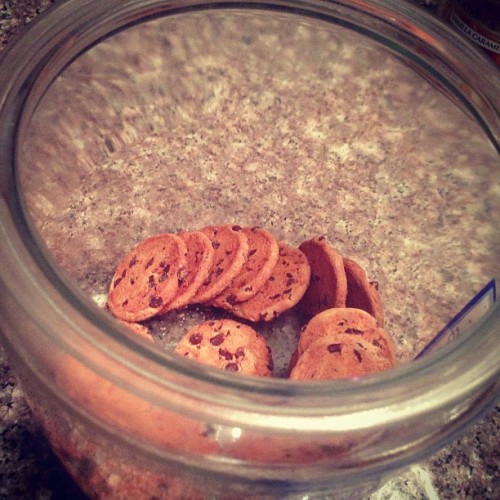 ðŸ™ŽðŸ˜ðŸªðŸ‘Œ #cookies #chocolate #cookiejar #chocolatechip #milkncookies #numnumnum  (at Venetian Park Townhomes)