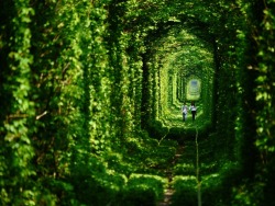 immanewthang:  This is the Tunnel of Love in Ukraine. Top 33