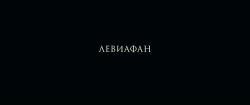 artfilmfan: Leviathan (Andrey Zvyagintsev, 2014) cinematography: Mikhail