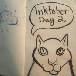 Keeping on inktober with a quick kitty doodle.  #cats #inktober