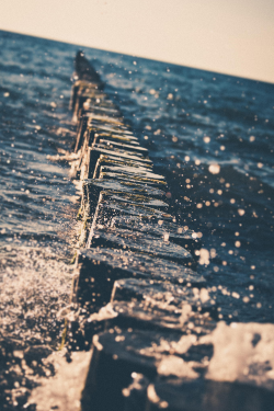 expressions-of-nature:  Splash by: Florian Kolbe