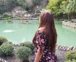 yungkiitten:  Happy birthday to me :) from the Japanese Tea Garden