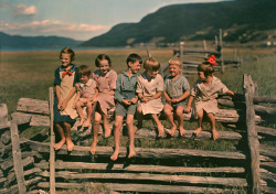 natgeofound:  Seven siblings sit on a wooden fence in Quebec,