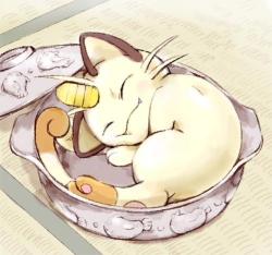 gourgeist:Comfy Kitty