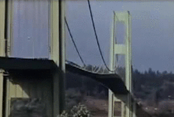 sixpenceee:  Tacoma Narrows Bridge collapsed in the morning of