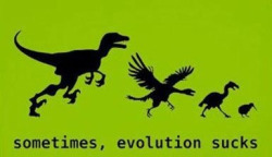 FUCK YEAH: DINOSAURS