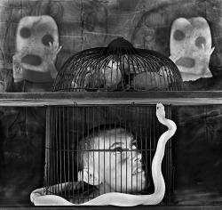 Roger Ballen - Caged, 2011.