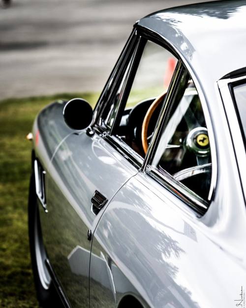 utwo:  Vintage Cavallo - Ferrari 250GT© K.Noakes
