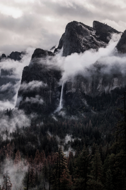 viciousclass:Yosemite Valley.