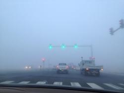 narcists:  ellaile:  foggy mornings are the best  o yA gf