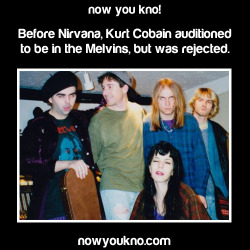 nowyoukno:  Now You Know more about Kurt Cobain. (Source) 