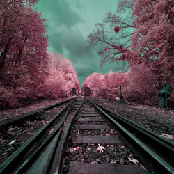 landscape-photo-graphy:Surreal Infrared Photography by David