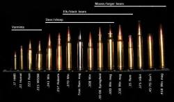 gunrunnerhell:  Caliber Selection I believe shot placement plays